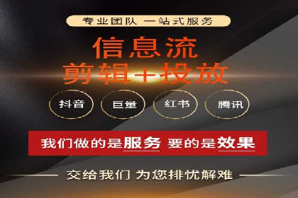 成功案例解析：SEO与SEM协同营销策略